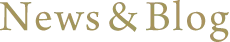 NEWS&ブログ